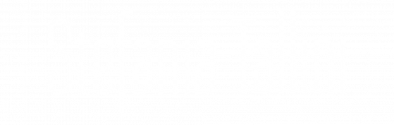 Stefani Tallini Logo